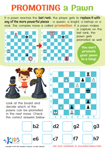 Checkmate the King Worksheet